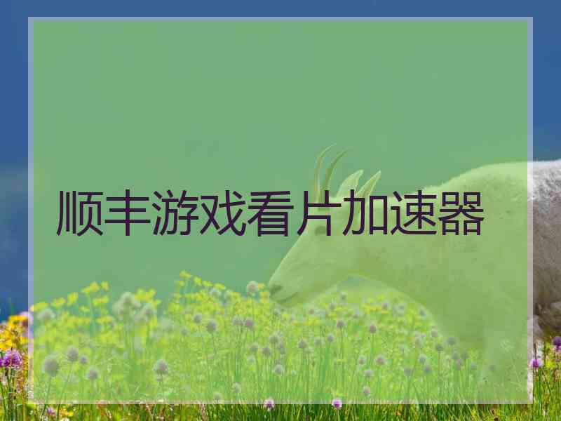 顺丰游戏看片加速器
