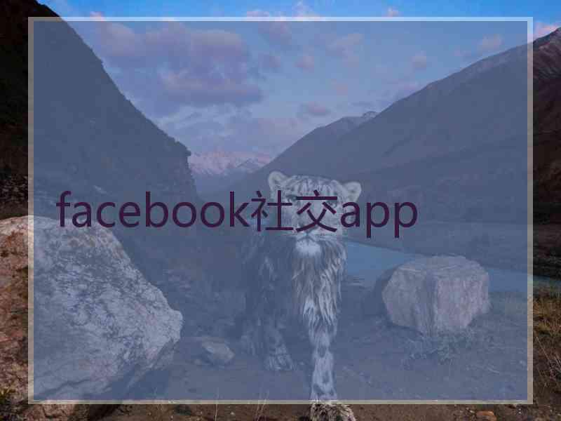 facebook社交app