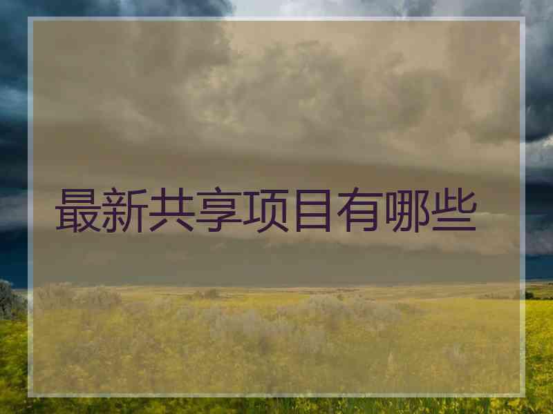 最新共享项目有哪些