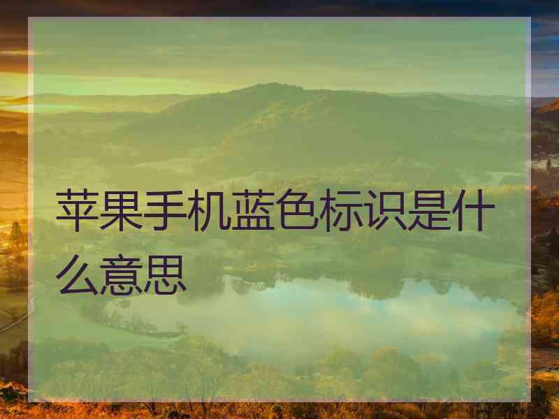 苹果手机蓝色标识是什么意思