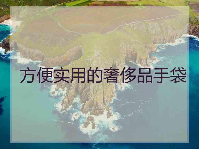 方便实用的奢侈品手袋