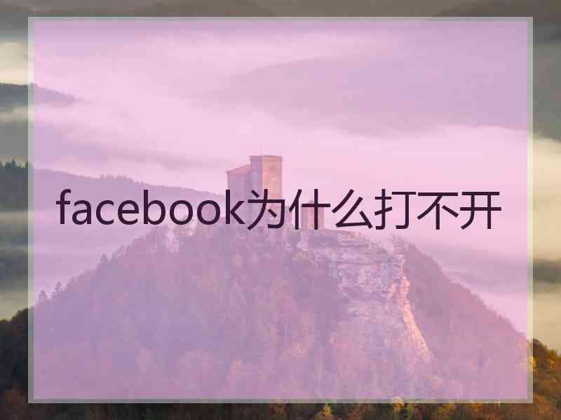 facebook为什么打不开