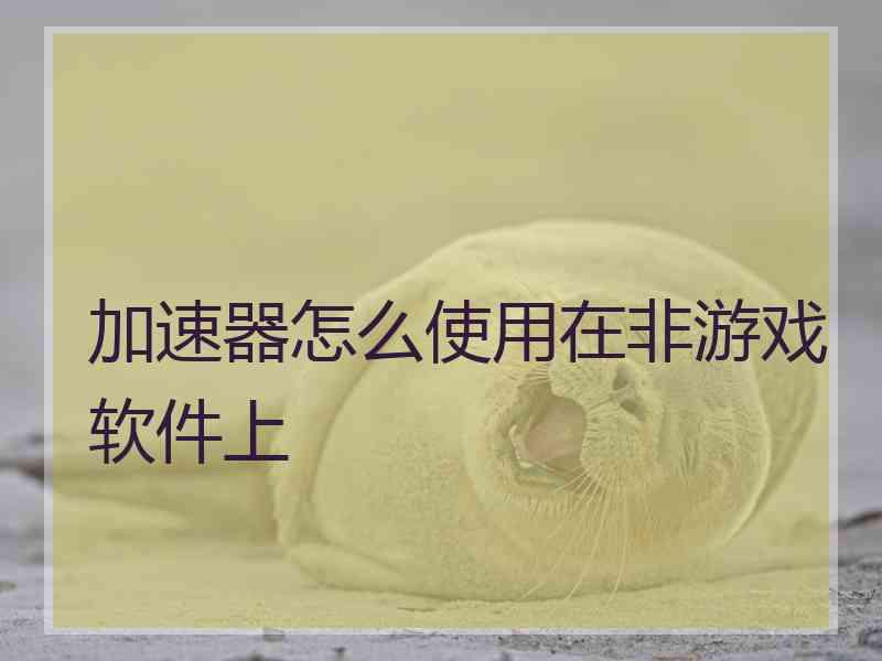 加速器怎么使用在非游戏软件上