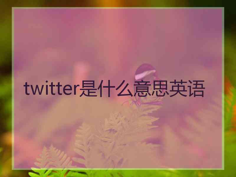 twitter是什么意思英语