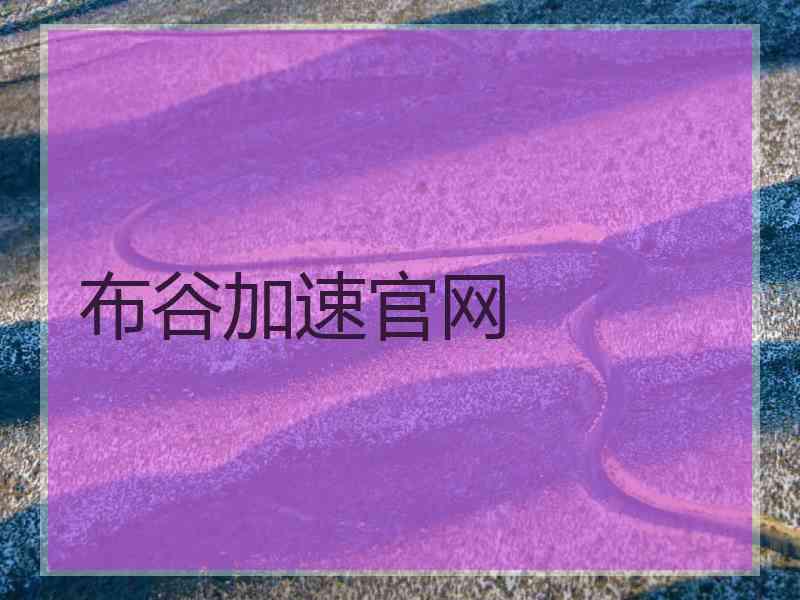 布谷加速官网