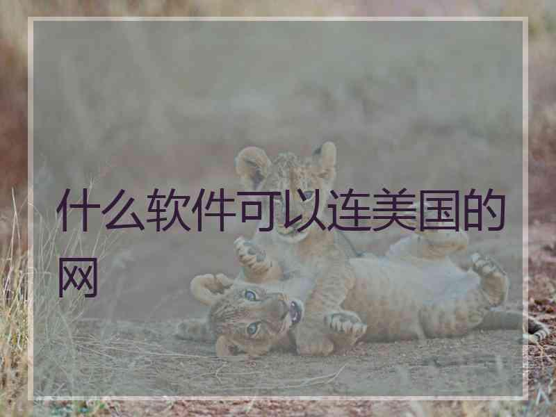 什么软件可以连美国的网