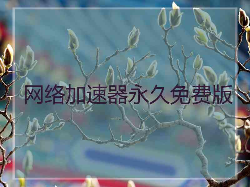 网络加速器永久免费版