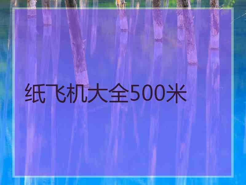 纸飞机大全500米