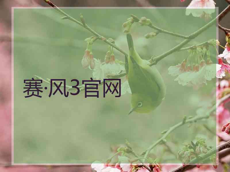 赛·风3官网