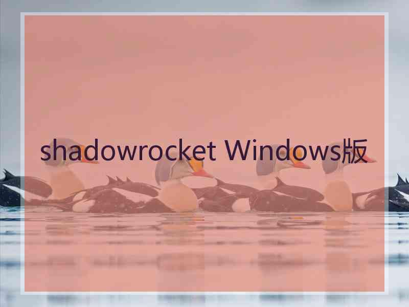 shadowrocket Windows版