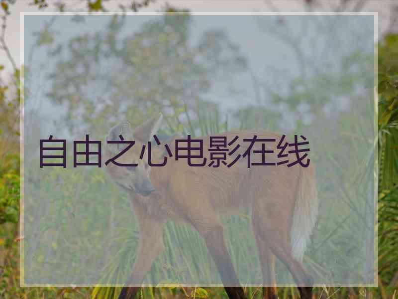 自由之心电影在线