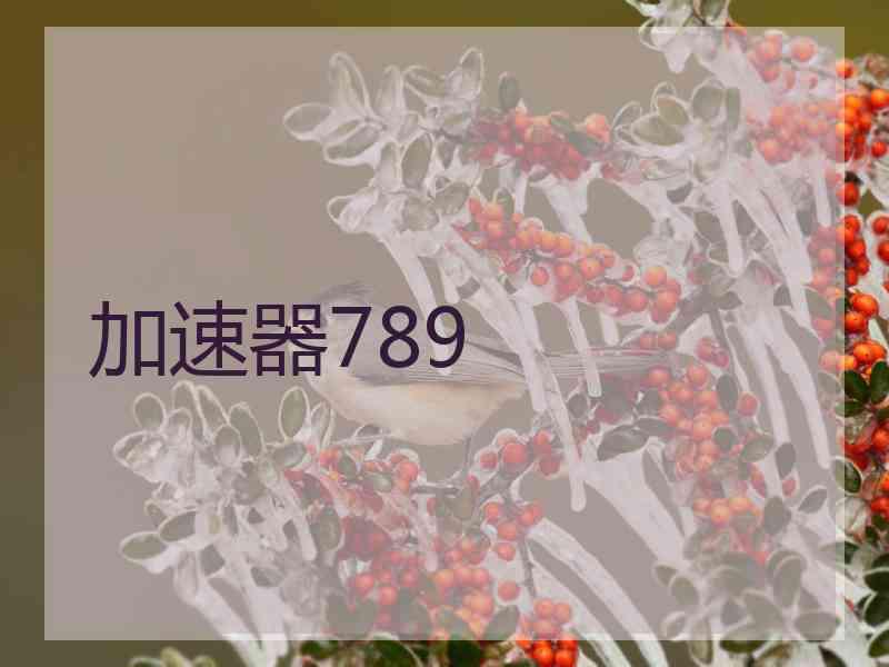 加速器789