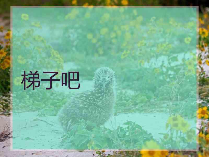 梯子吧