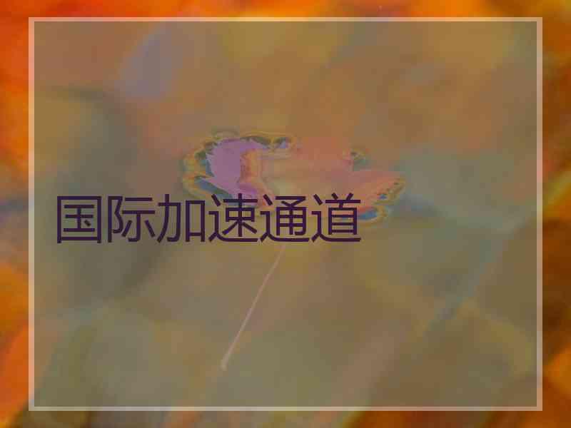 国际加速通道