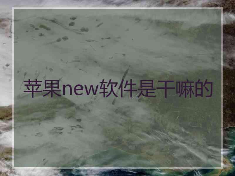 苹果new软件是干嘛的