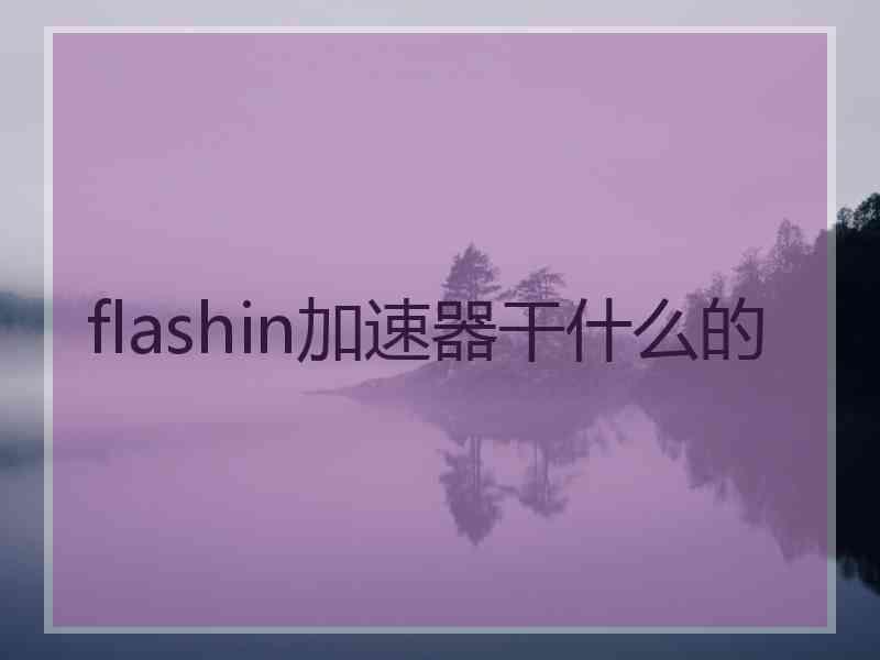 flashin加速器干什么的