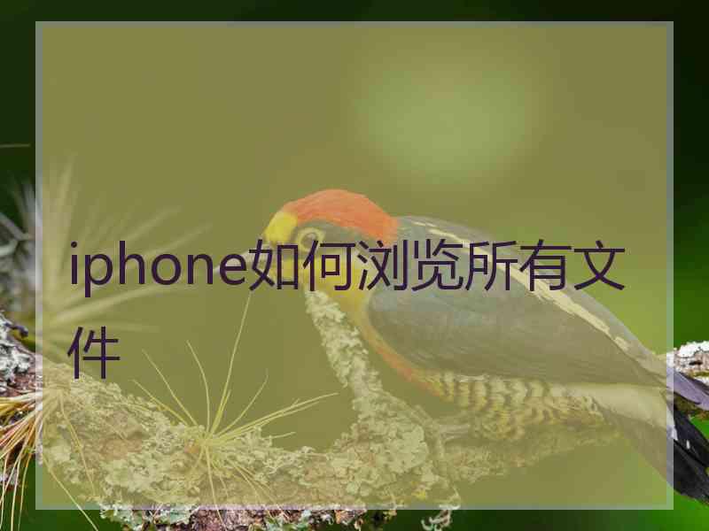 iphone如何浏览所有文件
