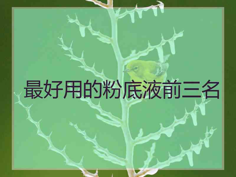 最好用的粉底液前三名