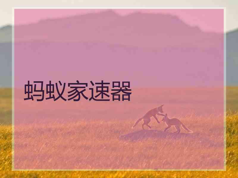 蚂蚁家速器