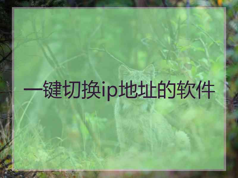一键切换ip地址的软件
