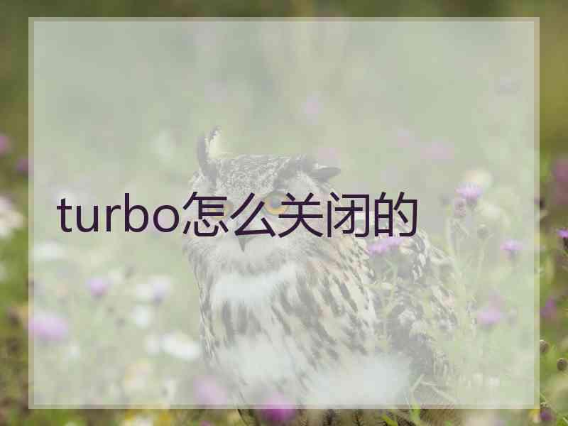 turbo怎么关闭的