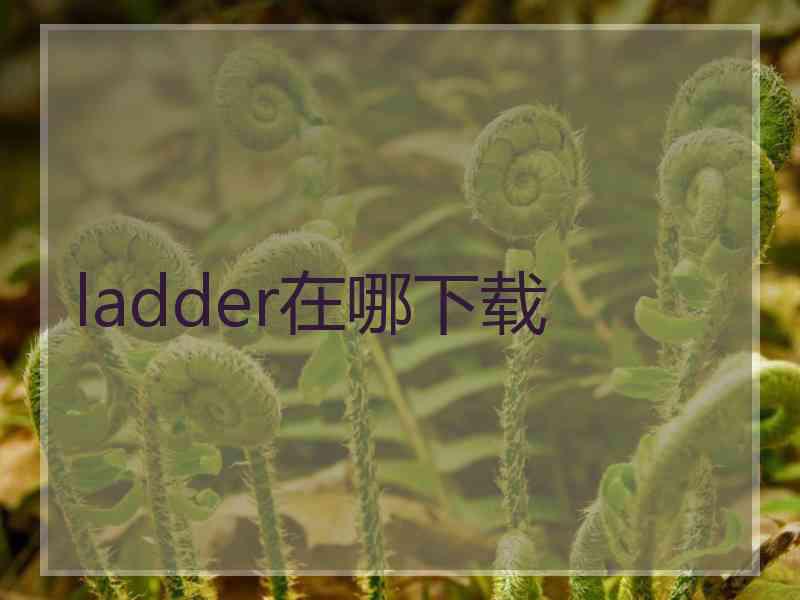 ladder在哪下载