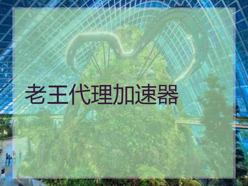 老王代理加速器