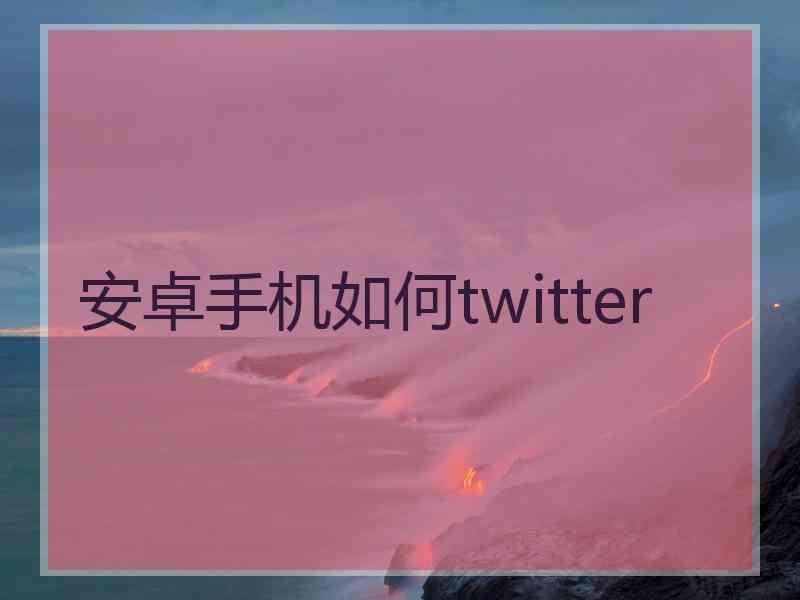安卓手机如何twitter