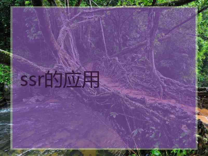 ssr的应用