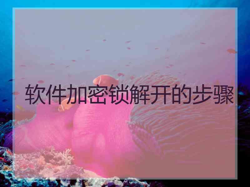 软件加密锁解开的步骤