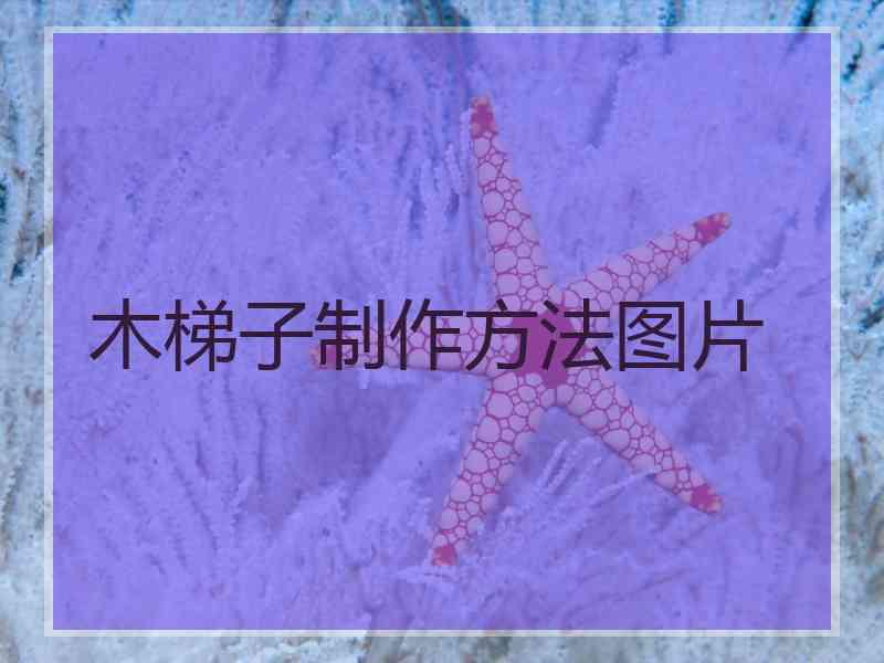 木梯子制作方法图片