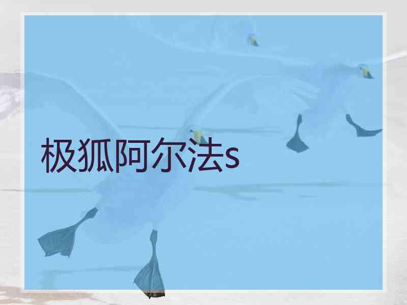 极狐阿尔法s