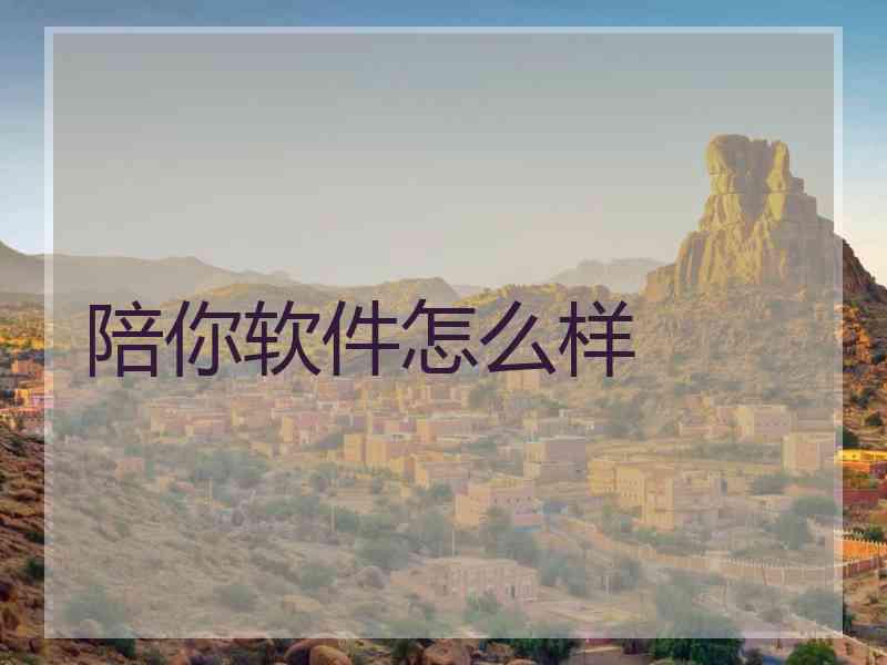 陪你软件怎么样