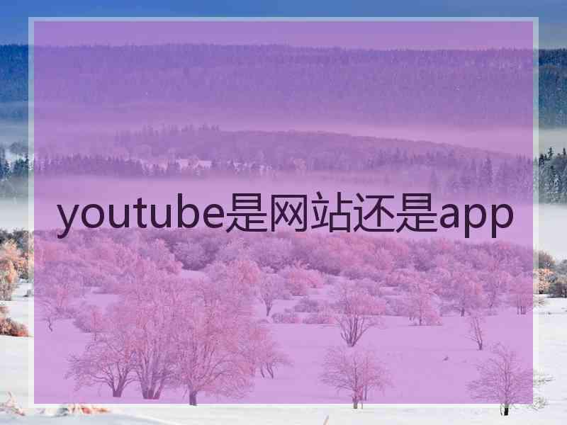 youtube是网站还是app