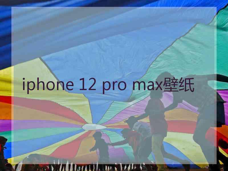 iphone 12 pro max壁纸