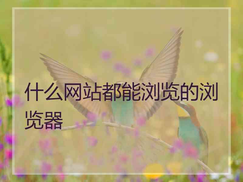 什么网站都能浏览的浏览器