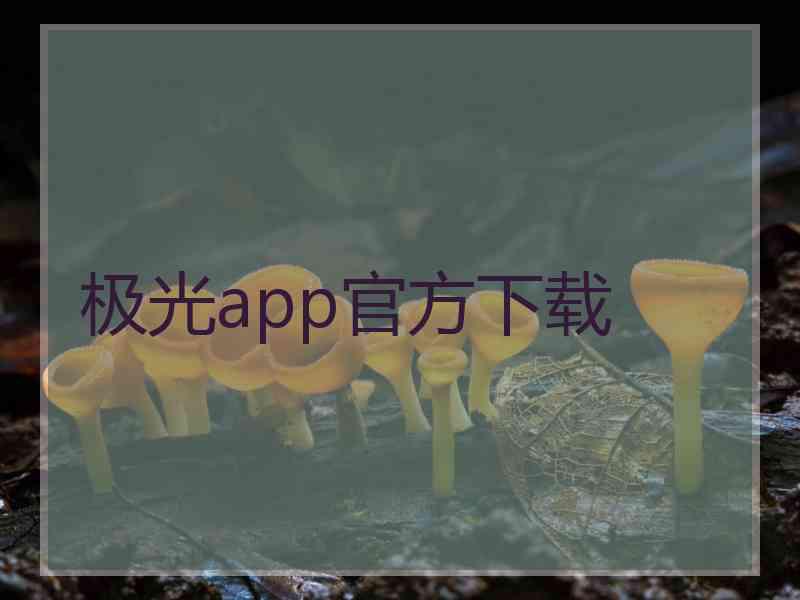 极光app官方下载