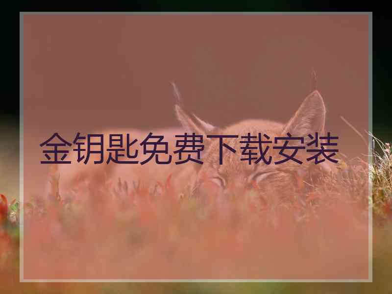 金钥匙免费下载安装