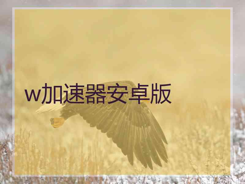 w加速器安卓版