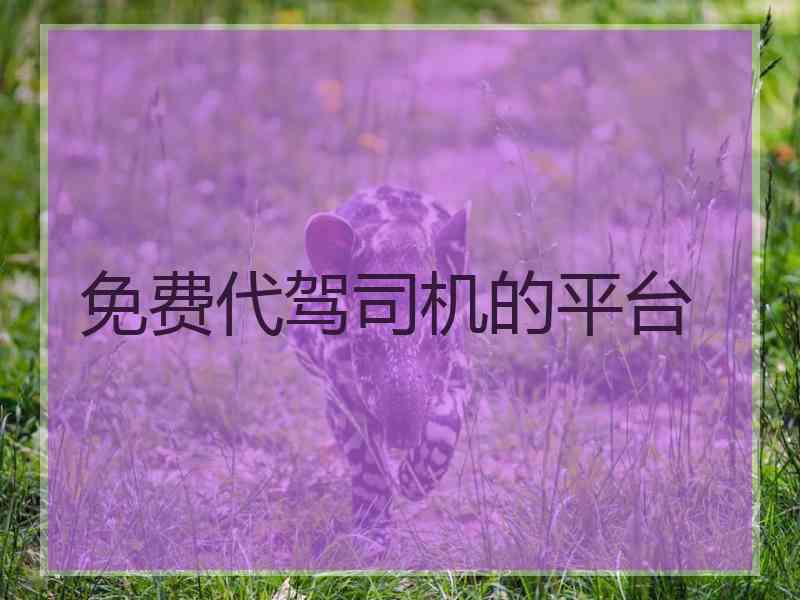 免费代驾司机的平台
