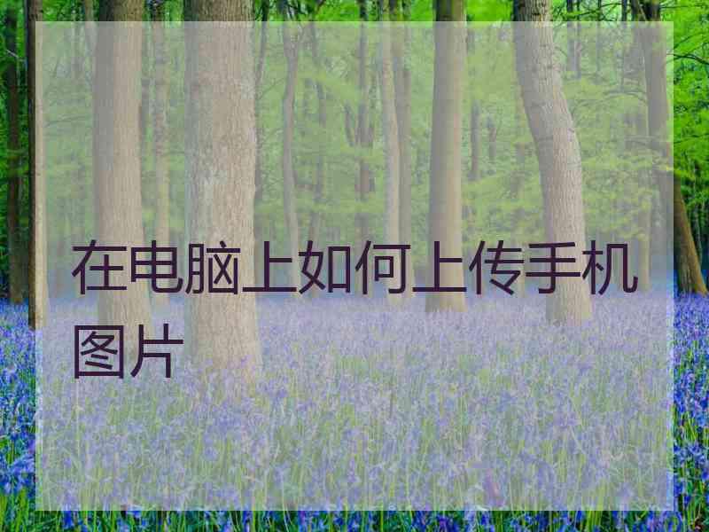 在电脑上如何上传手机图片