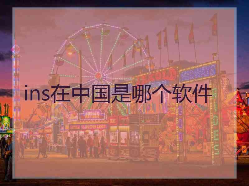 ins在中国是哪个软件