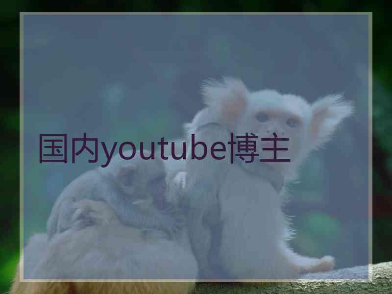 国内youtube博主