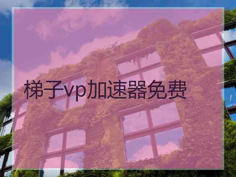 梯子vp加速器免费