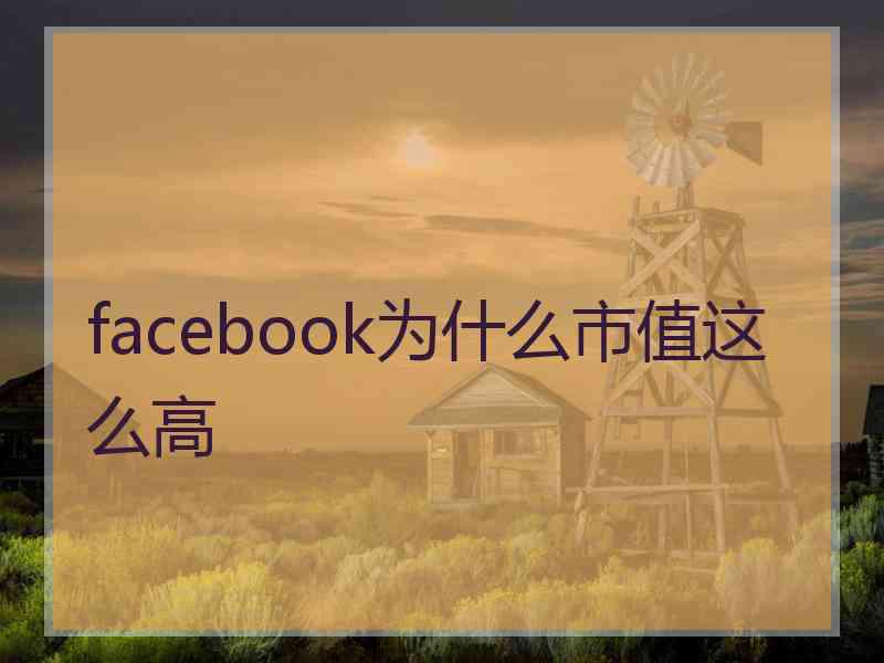facebook为什么市值这么高