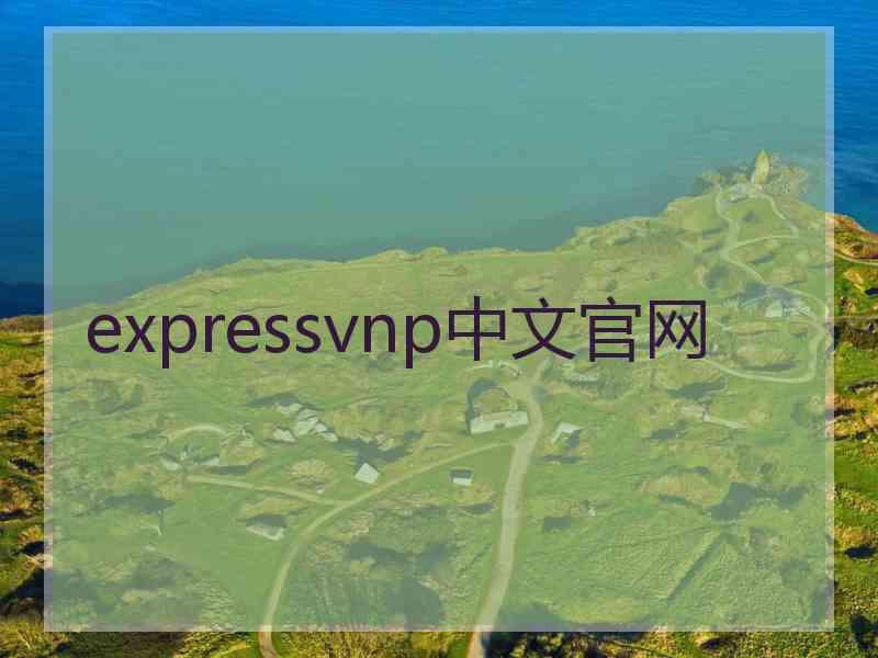 expressvnp中文官网