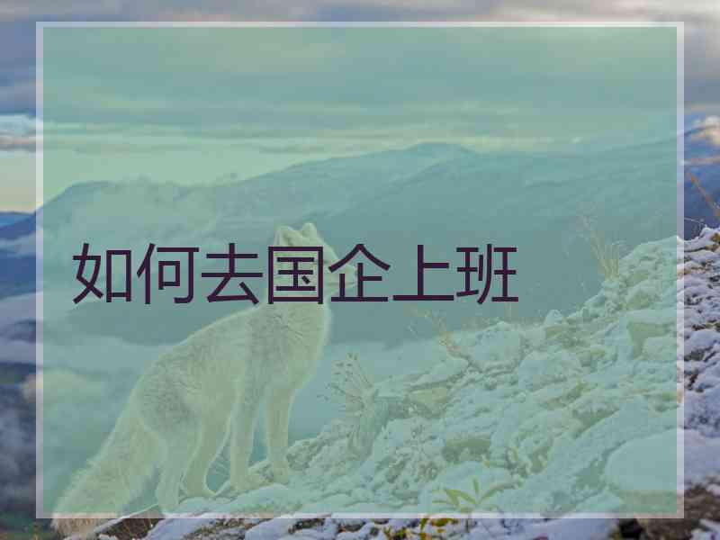 如何去国企上班