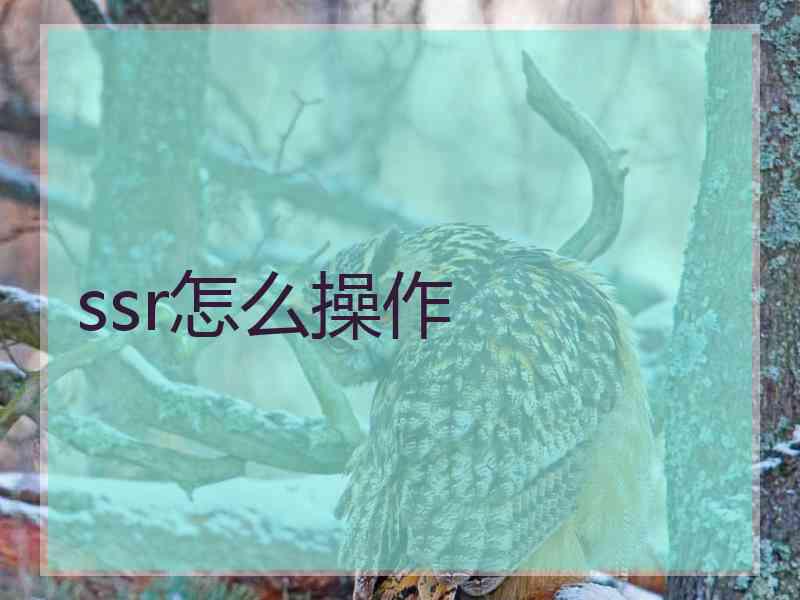 ssr怎么操作