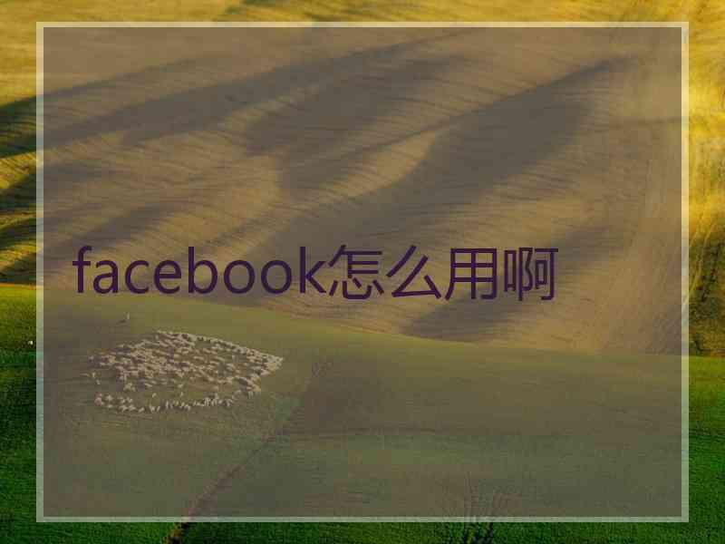 facebook怎么用啊