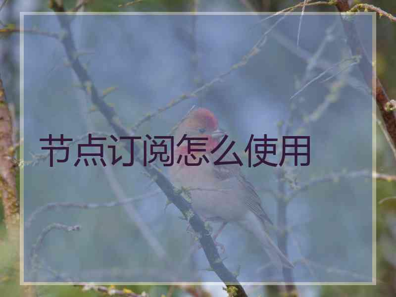 节点订阅怎么使用